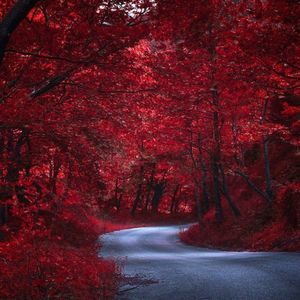 Meet your Posher, Alexandria